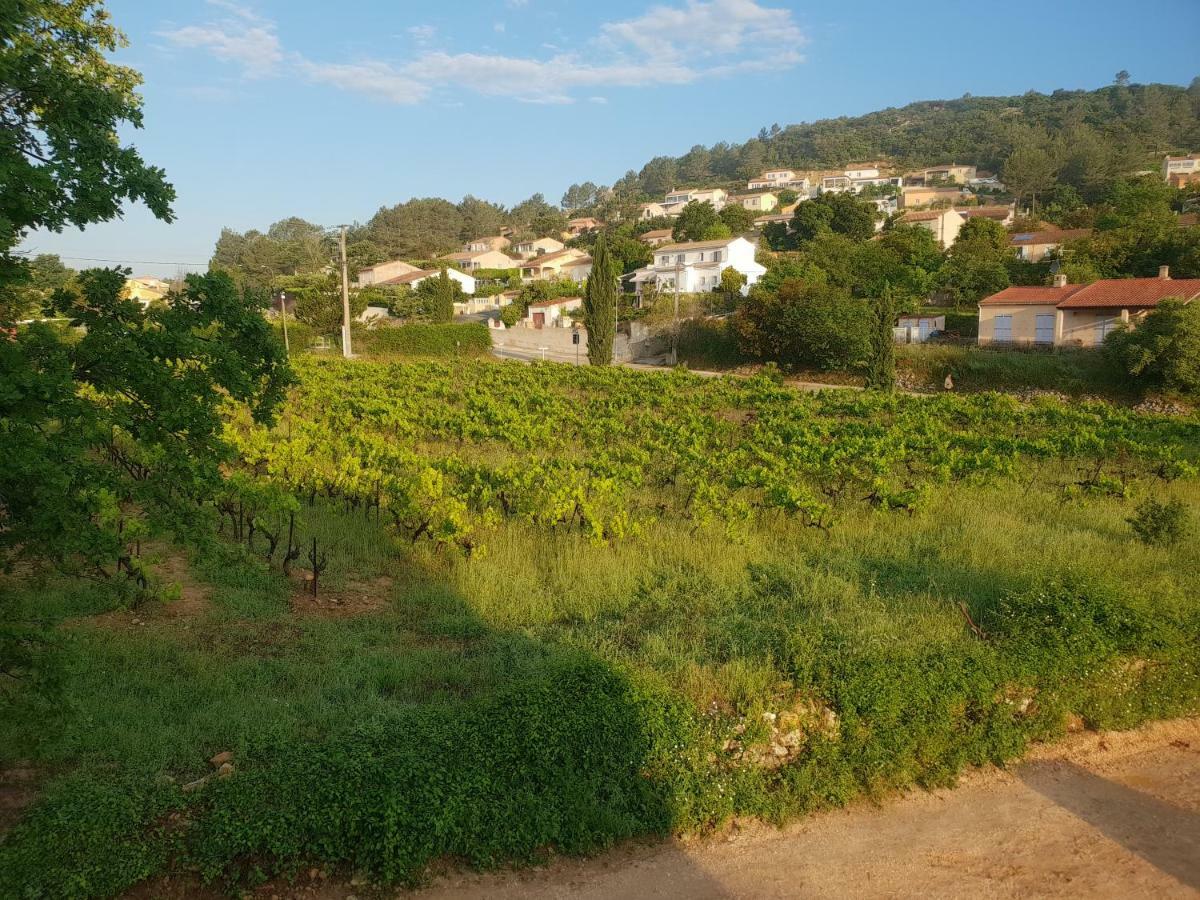 Villa Marie - Provence Cote D'Azur Cabasse Екстер'єр фото